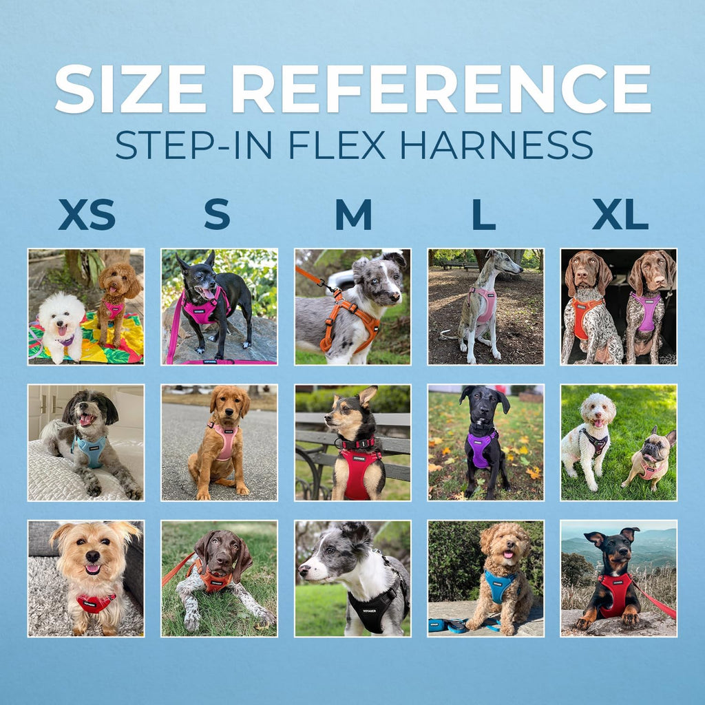 Voyager Step-in Flex Adjustable Dog Harness - Black, Small