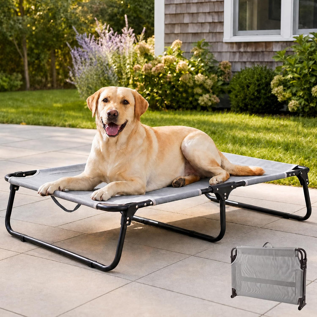 Foldable Elevated Dog Cot Bed, Raised Pet Beds for Large & Medium Dogs