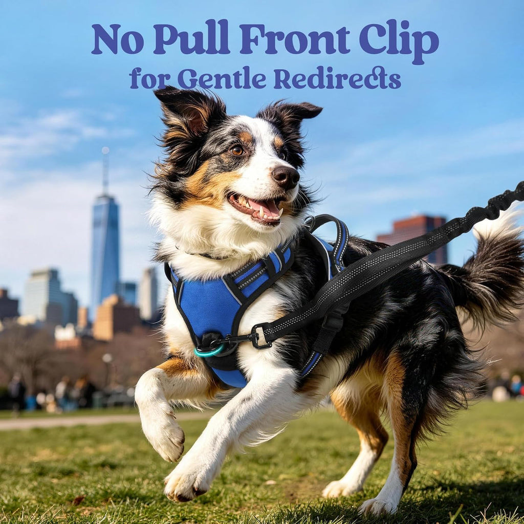 rabbitgoo Dog Harness for Large, Updated Easy On & Off with 3 Buckles