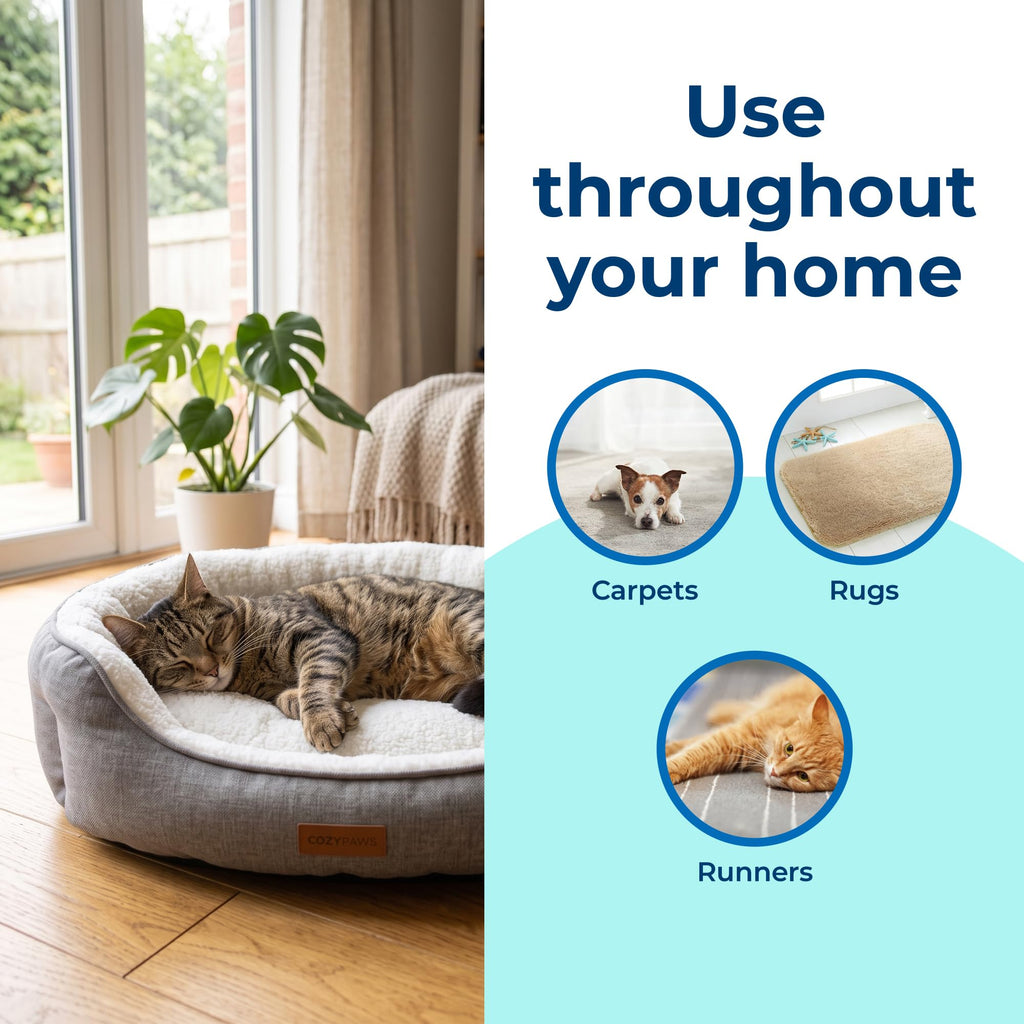 Carbona 2-in-1 Oxy-Powered Pet Stain & Odor Remover, 13.5 Fl Oz