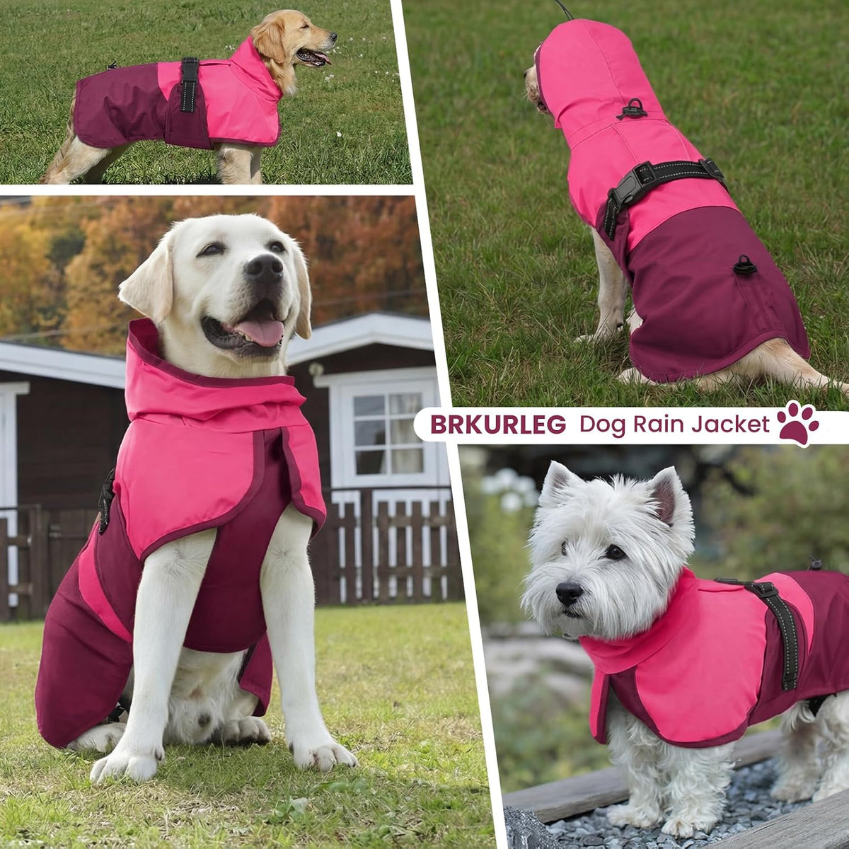BRKURLEG Dog Raincoat, Waterproof Rain Jacket with Hood, Rose Red, M