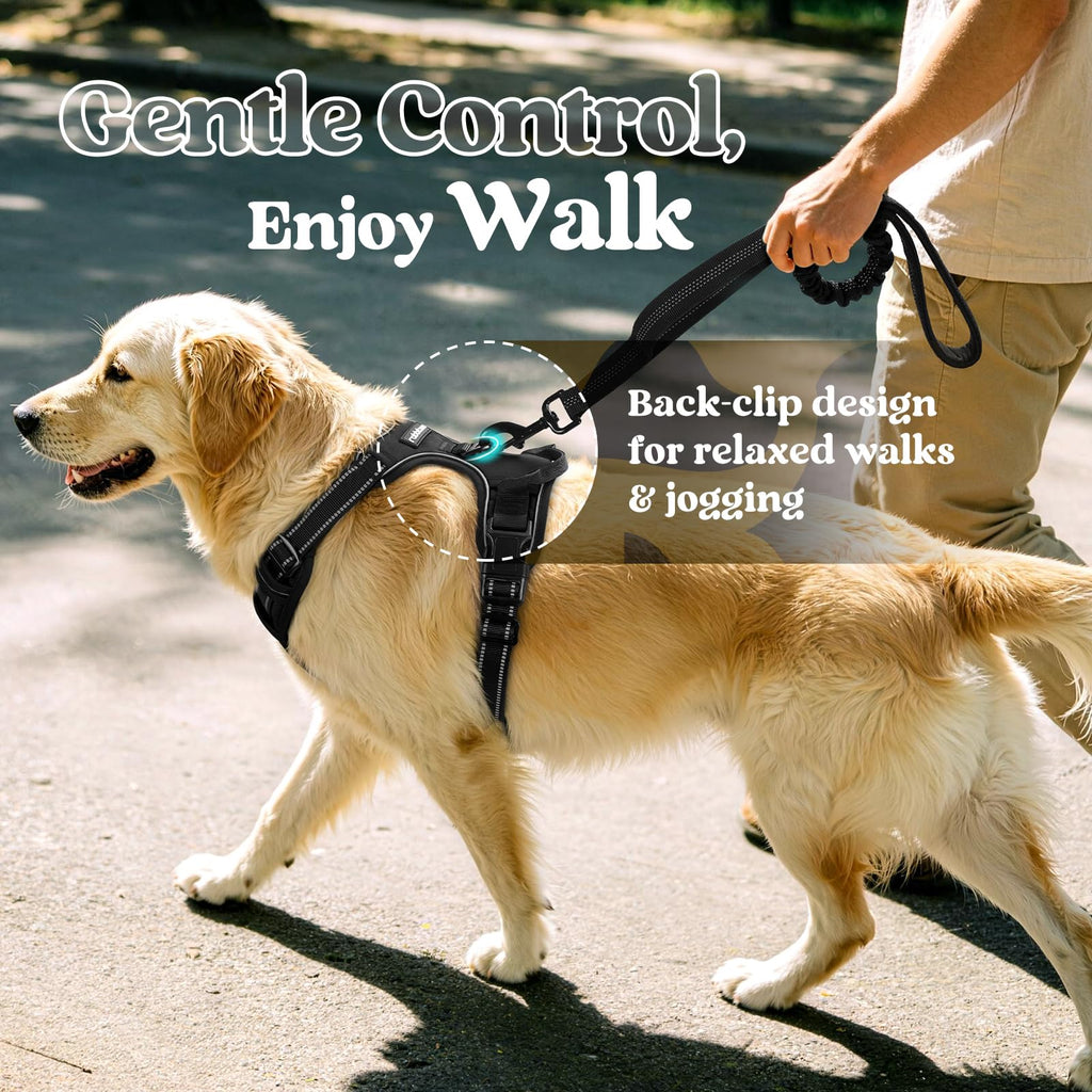 rabbitgoo Dog Harness, No Pull for Large Dogs with 2 Leash Clips, Pet Vest