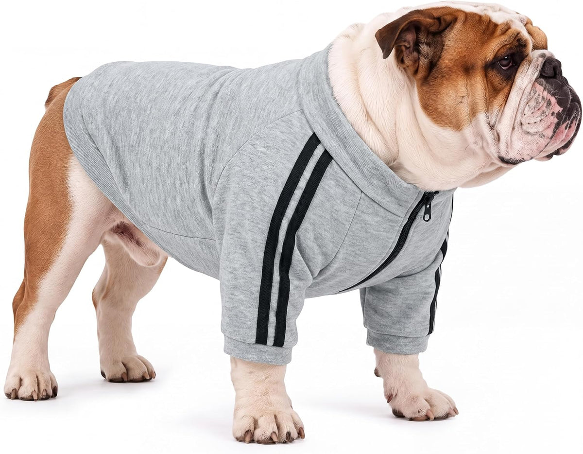 Bulldog Sweatshirt for Broad-Chested Dogs, Black, L