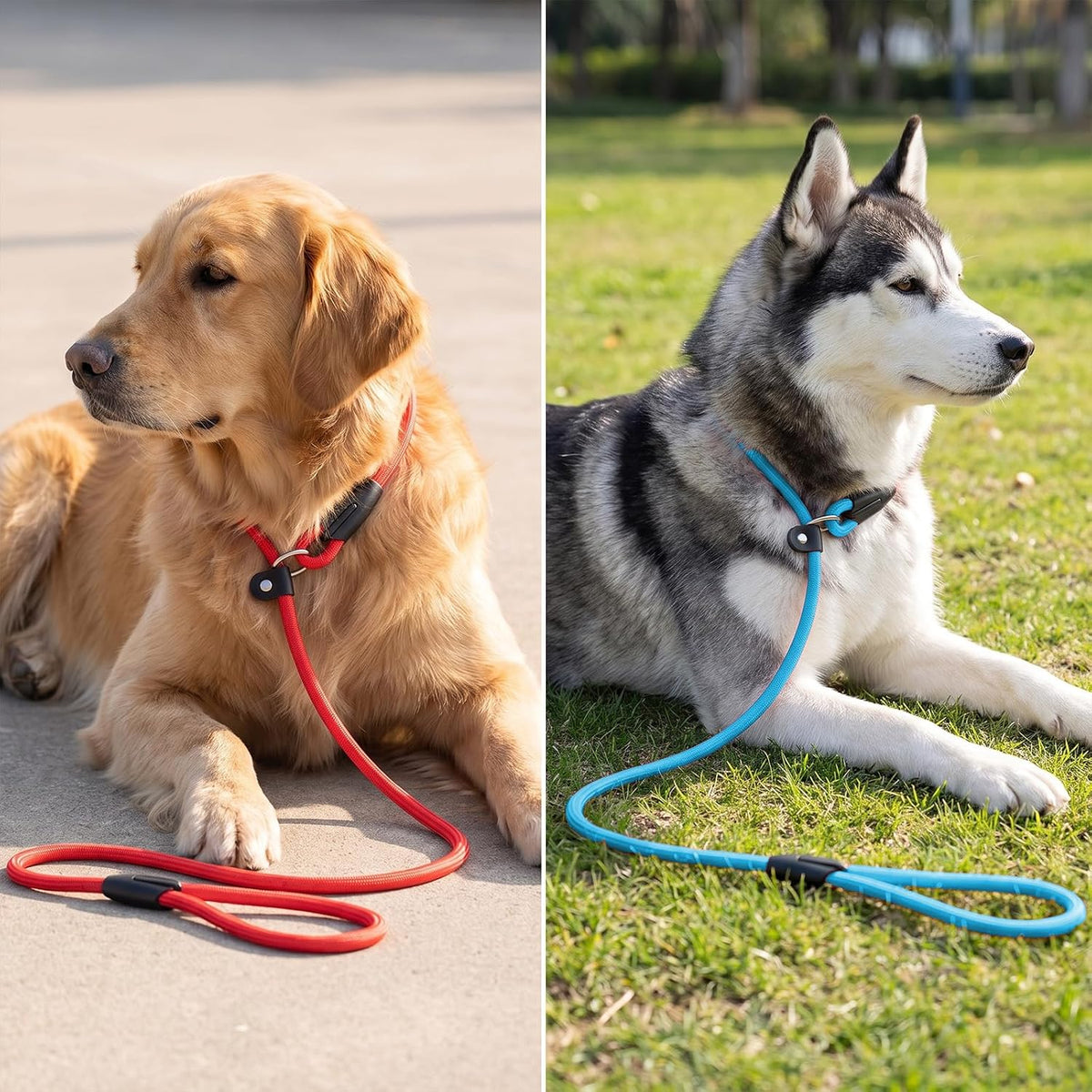 18 Pack Slip Lead Dog Leash for Large Dogs No Pull Training 6 Colors