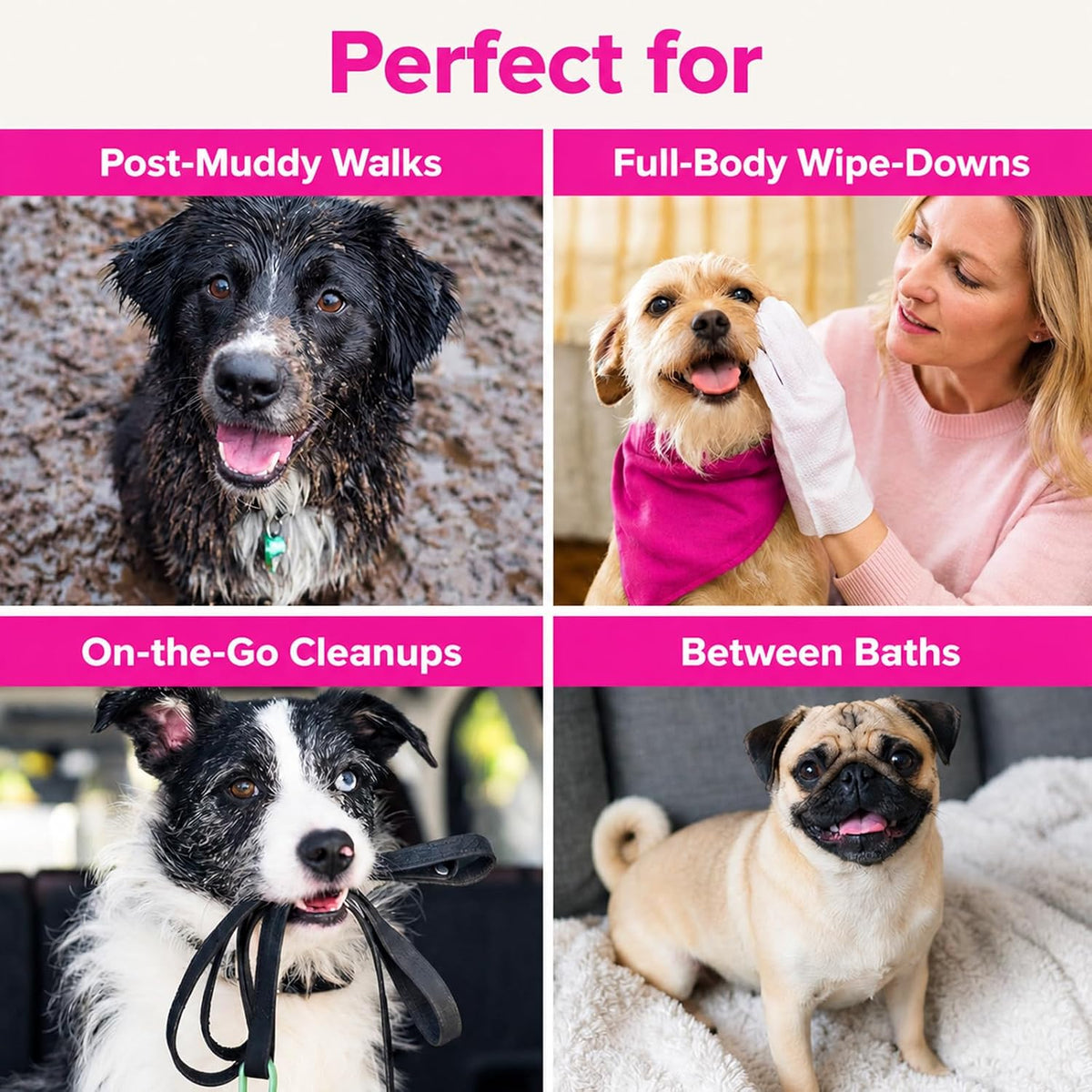 Pawkie Talkie Pet Wipes, For Dogs & Cats, Chamomile Scent, 20 Ct