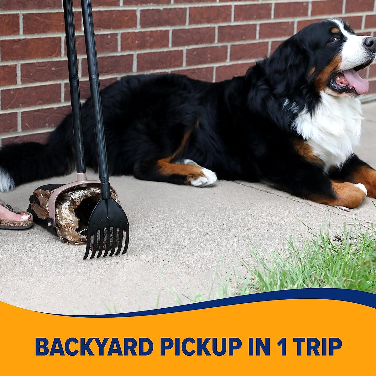 Arm & Hammer Swivel Bin & Rake Dog Pooper Scooper, Includes 2 Waste Bags