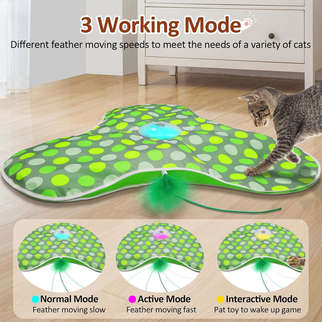 Interactive Cat Toys for Indoor Cats, Cat Exercise Toys