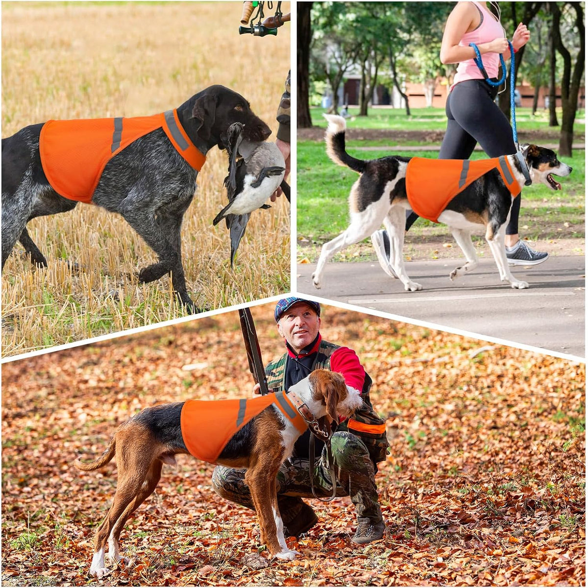 Dog Jacket High Visibility Safety Reflective Dog Vest for Small Medium Large Dogs (Large, Orange)