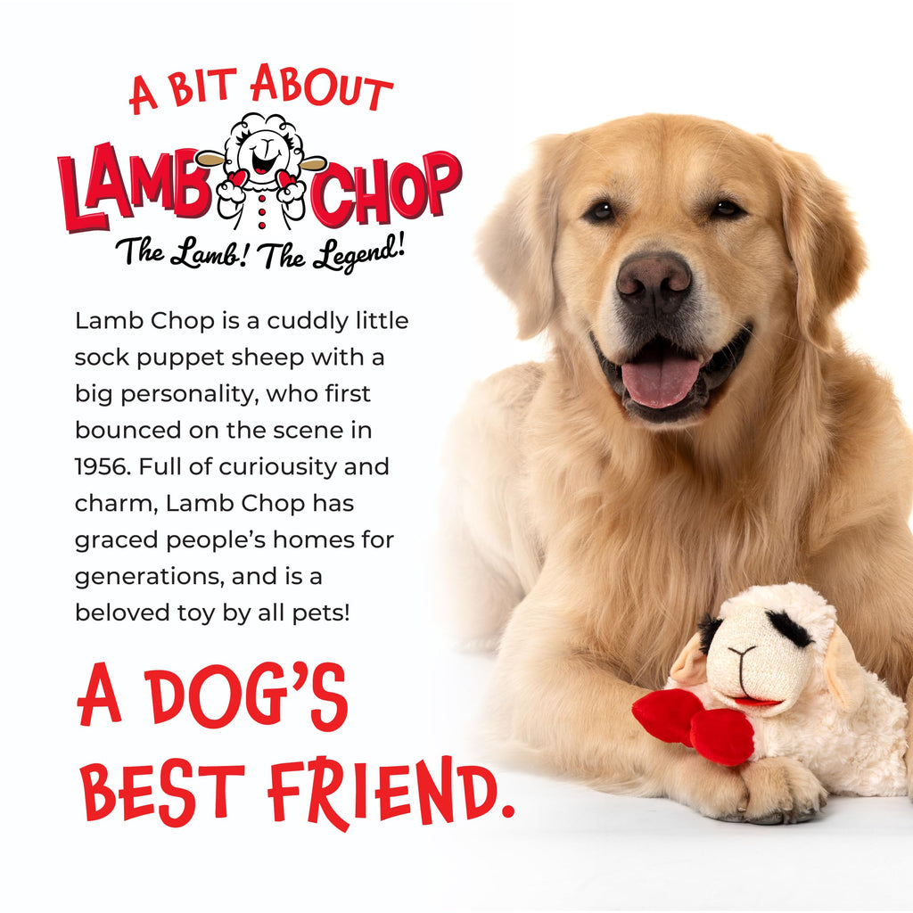 Multipet Lamb Chop Dog Plush Toy 10", Cream, 5 Squeakers