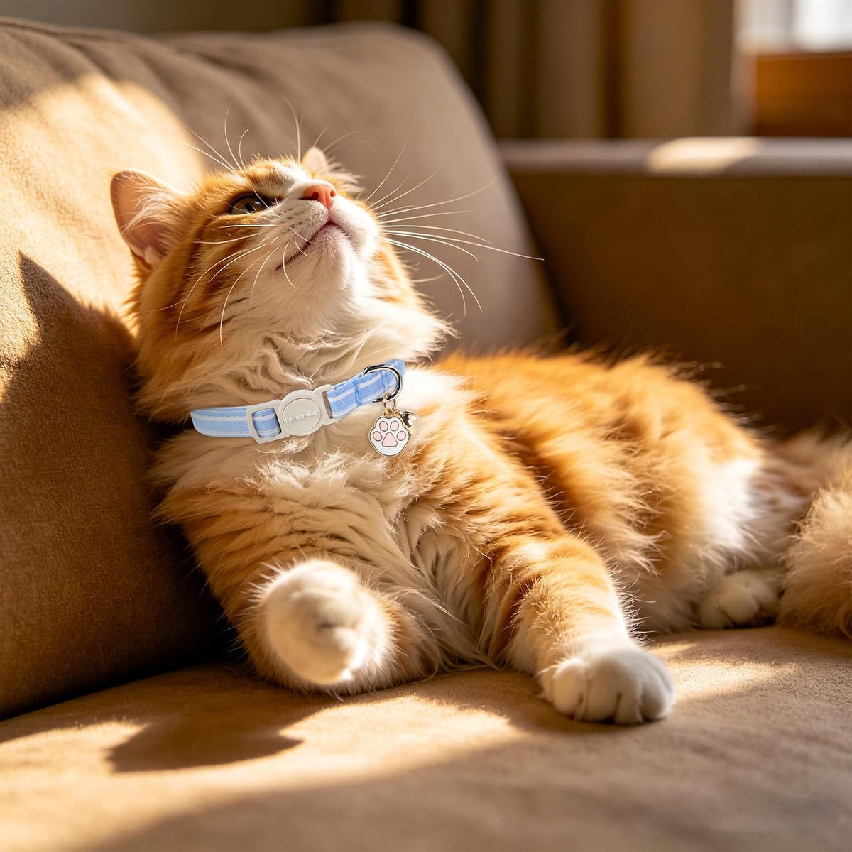 LIONET PAWS 2 Pack Breakaway Cat Collars, Cute Soft Cotton Plaid Gingham & Blue Stripe Kitten Collars with Bell for Boy 