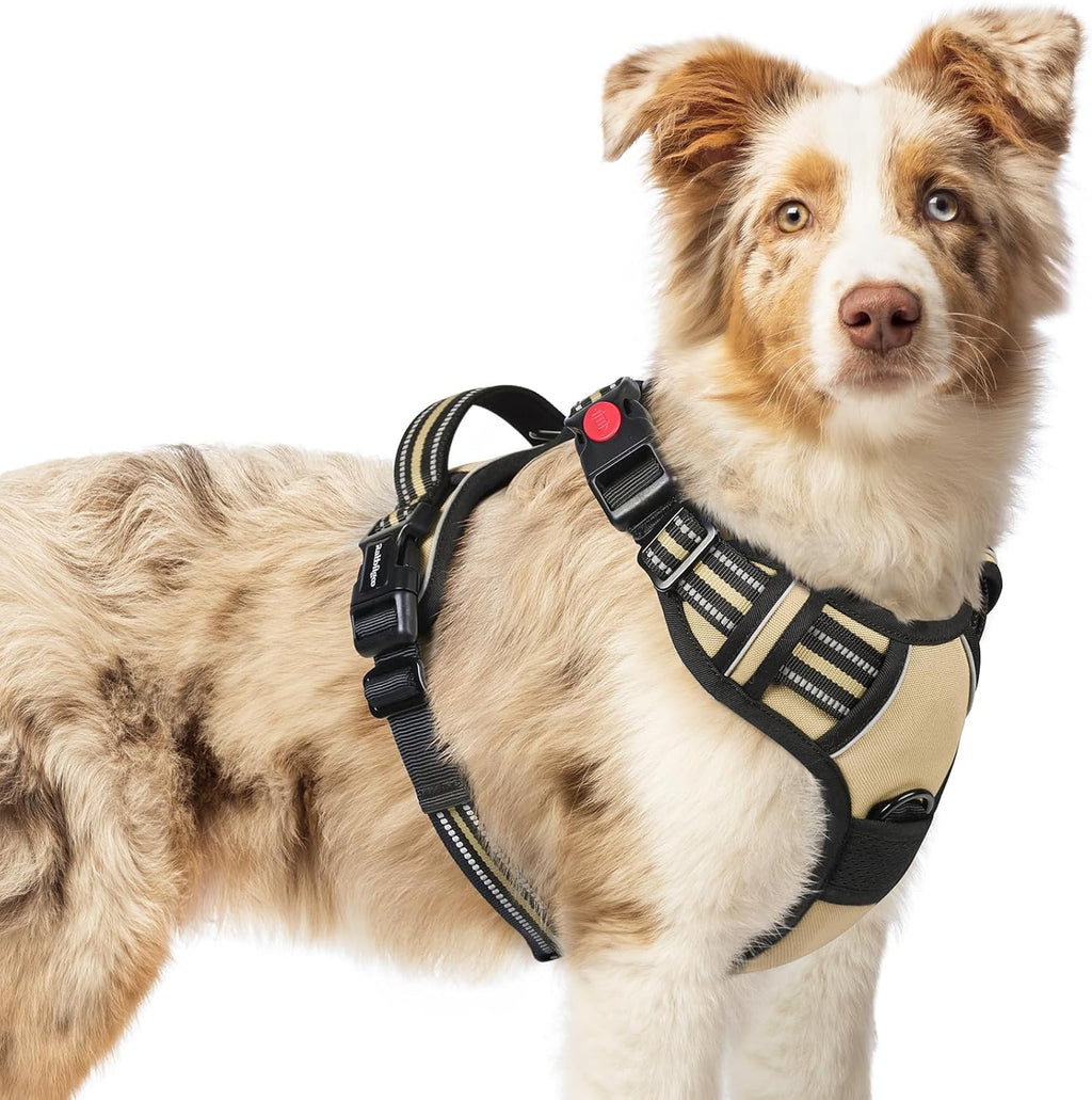 rabbitgoo Dog Harness for Large, Updated Easy On & Off with 3 Buckles