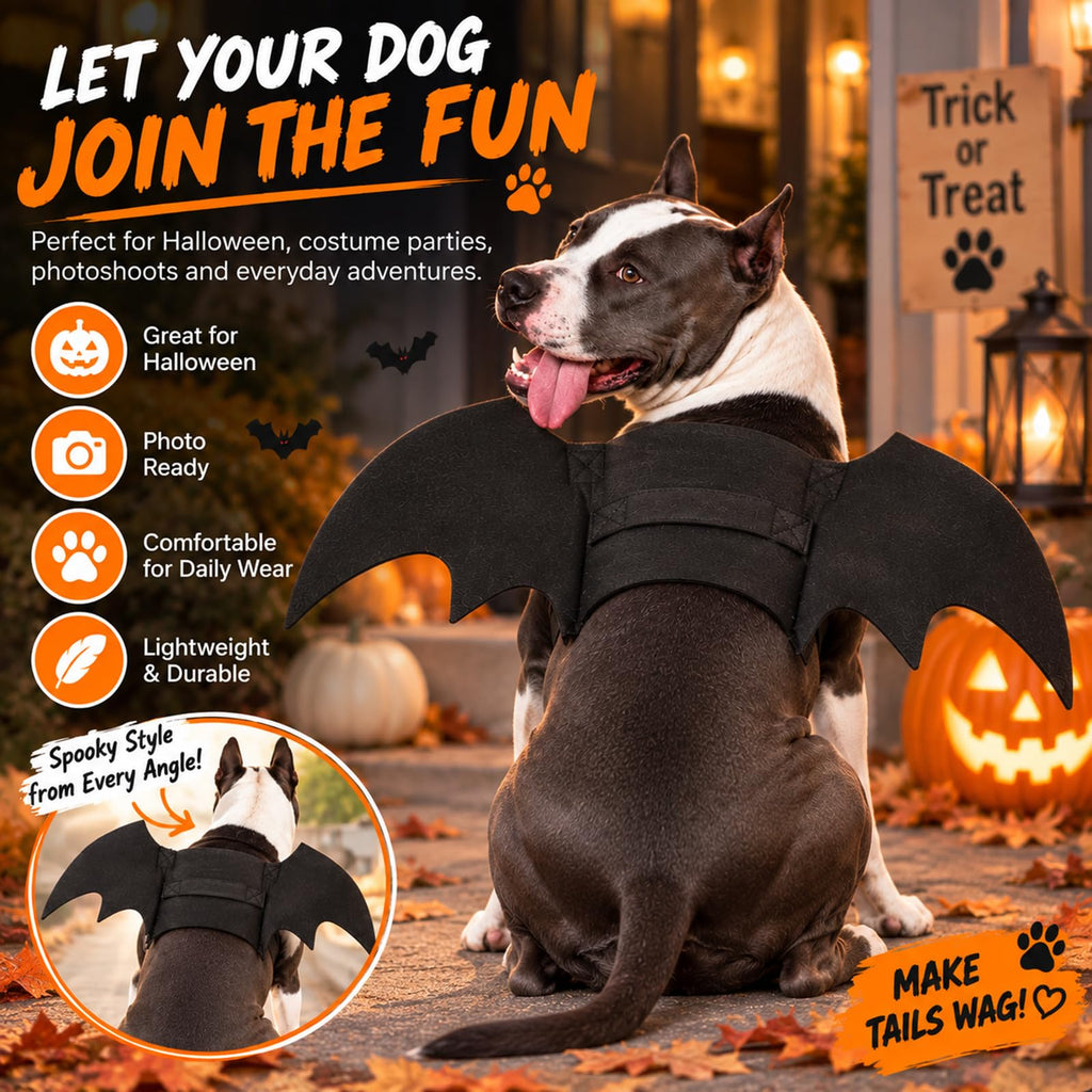 Rypet Dog Bat Wings Costume L, Dog Bat Costume for Halloween Cosplay Party