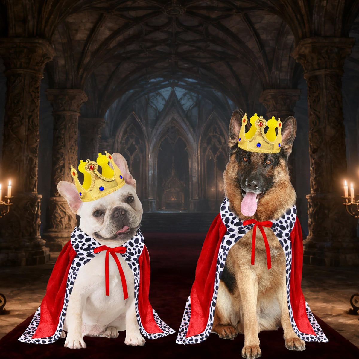 GOYOSWA Dog King Costume, Dog Halloween Costumes King Cloak Crown Set King Prince Costume for Small Medium Large Dogs (Large)