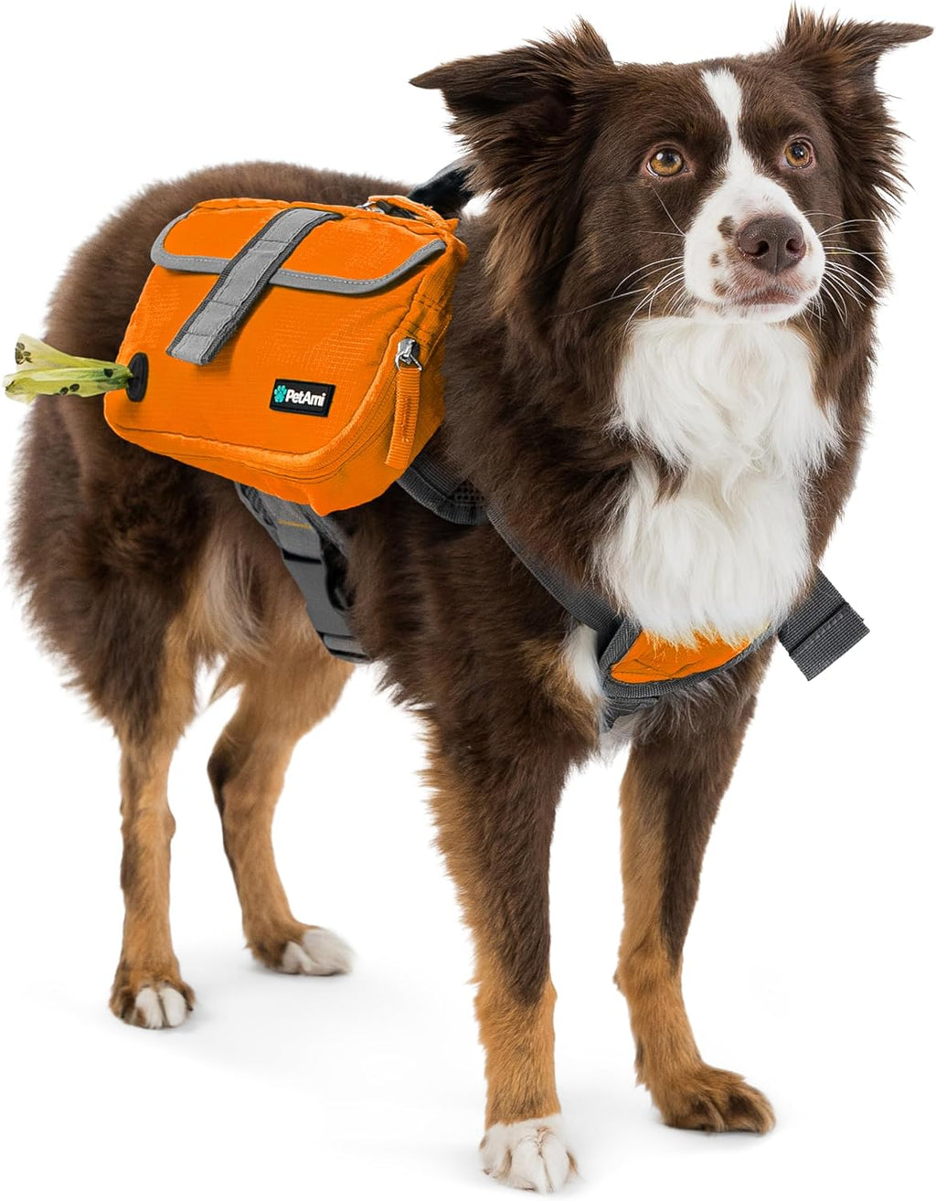 PetAmi Dog Backpack for Medium Large Dogs, Hiking Saddle Bag, Orange