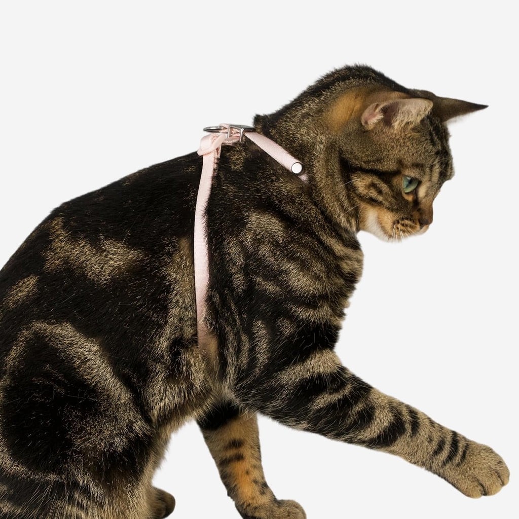 Escape Proof Cat Harness Anti-Choke Quick Release, Space Gray