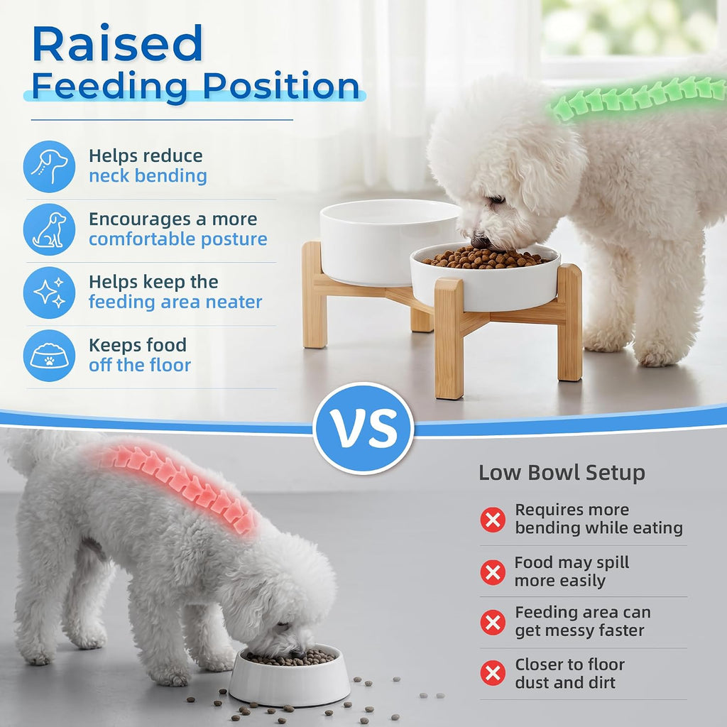 Raised Ceramic Slow Feeder Dog Bowls(0.8 Cups) with Dog Water Dish(700ML)