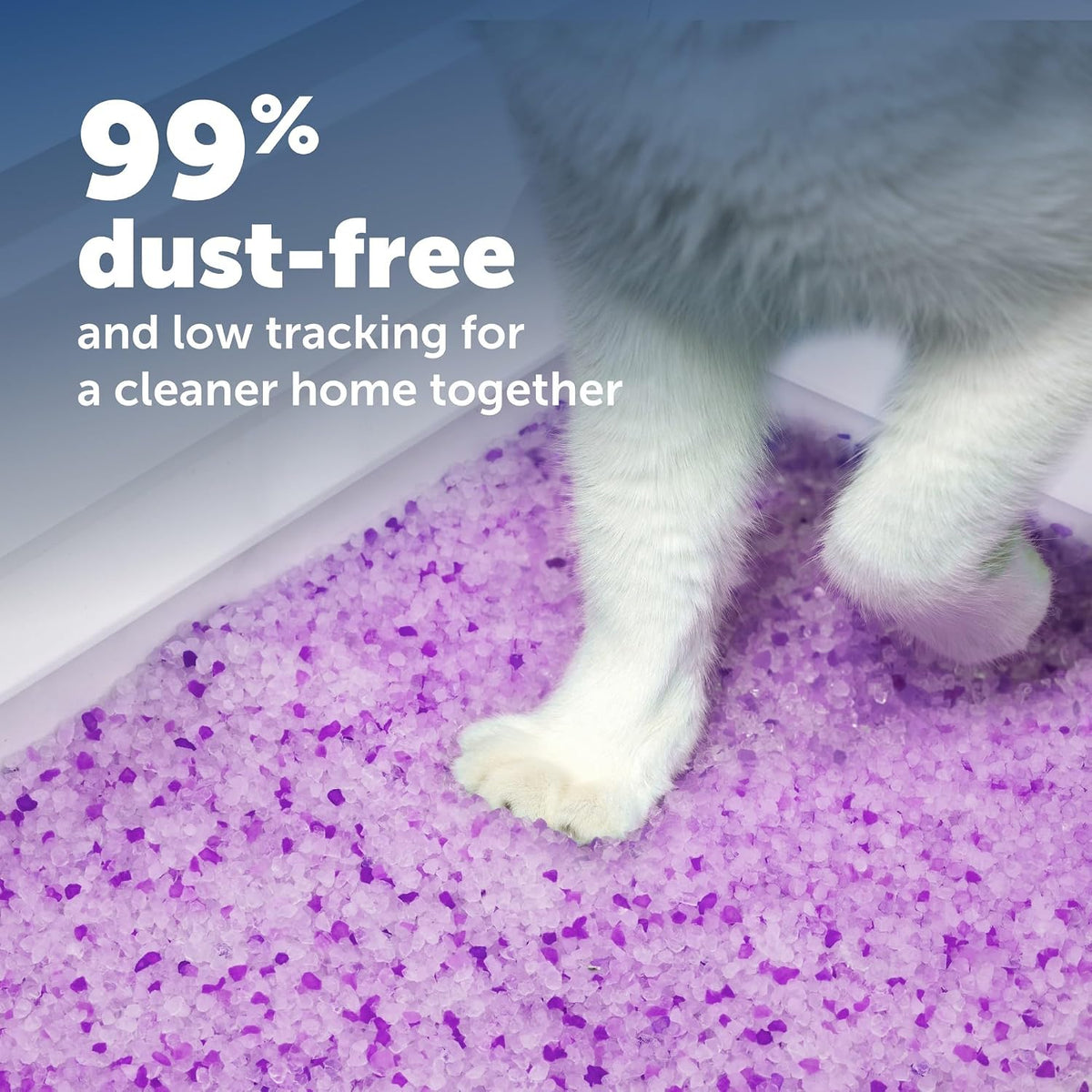 PetSafe ScoopFree Disposable Crystal Cat Litter Tray, Lavender, 3-Pack