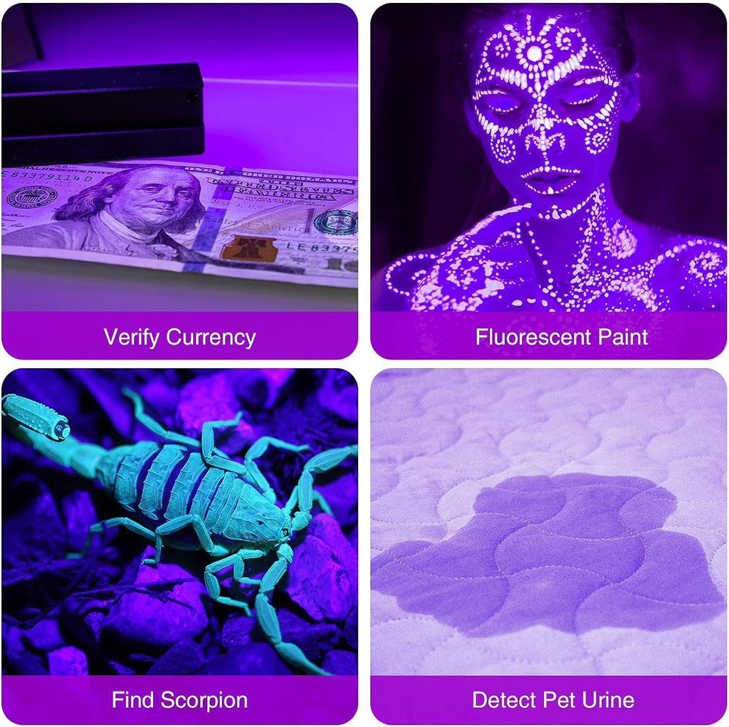 COSOOS 2 Pack UV Flashlight, 12 LED Handheld Blacklight Flashlight 395nm Mini Light Torch Detector for Dog Pet Urine Sta
