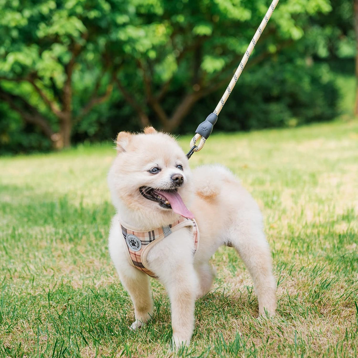 Small Dog Harness and Leash Set, No Pull Puppy Pet Vest- Beige, S
