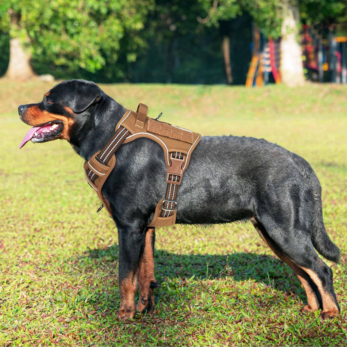 Beebiepet Tactical No Pull Dog Harness with Leash, Large, Brown