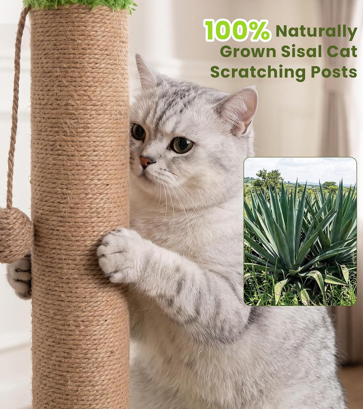 36"Cat Scratching Post With Interactive Cat Toys,Brown Cat Scratching Board