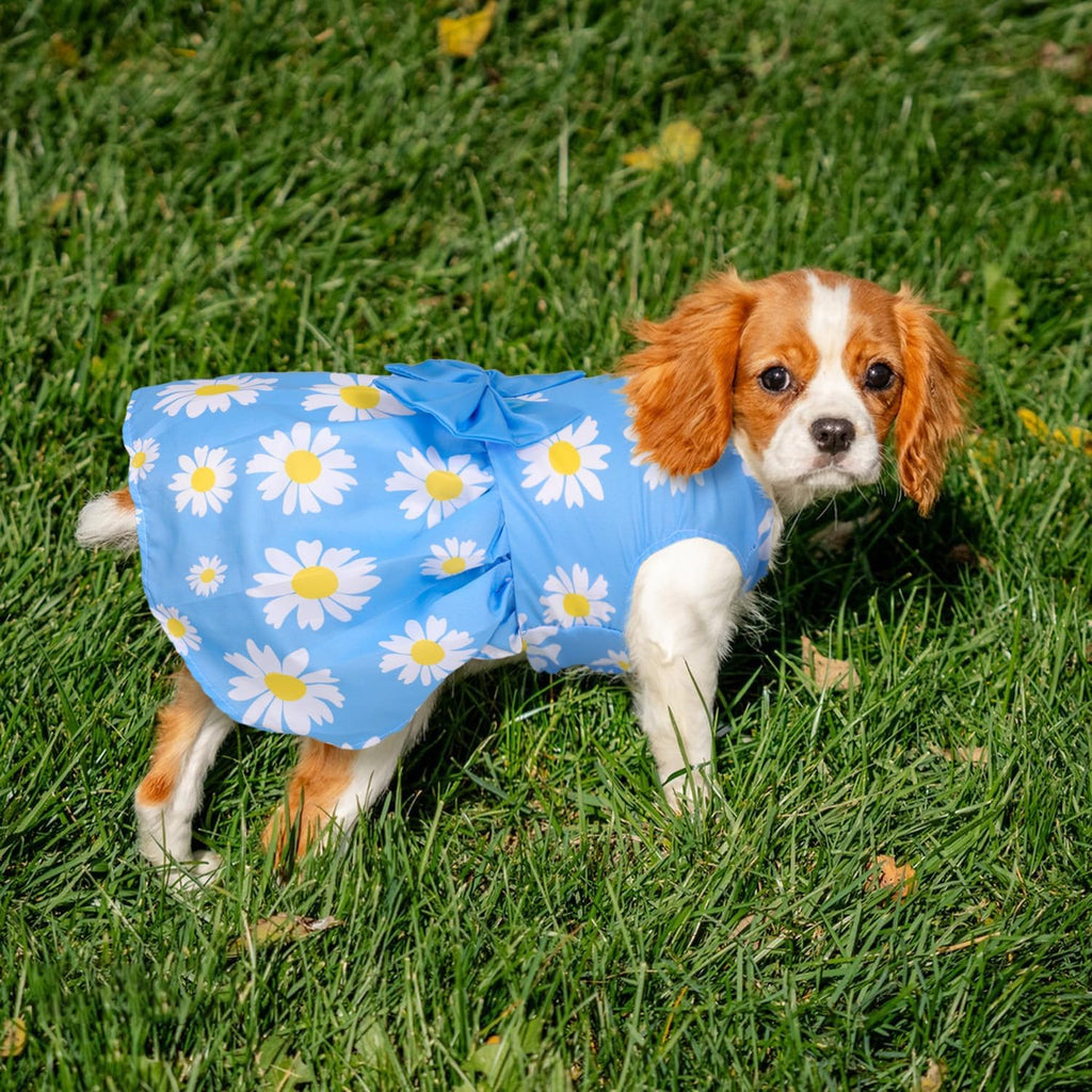 5 Pack Girl Dog Clothes Floral Summer Puppy Princess Bowknot Dog Dresses for Small Dogs Girl Clothes Cute Outfits for Bo
