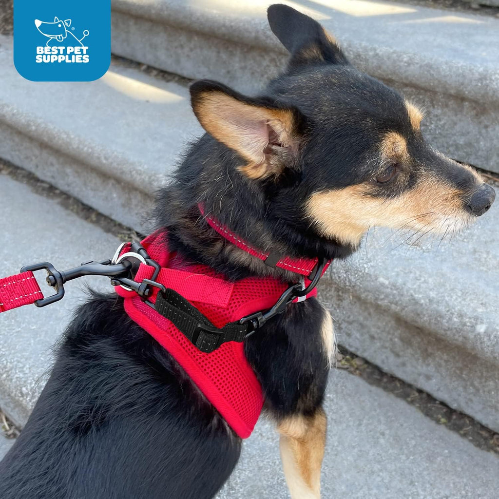 Best Pet Supplies Voyager Dog Collar Safety Clip with Dual Clasps, Collars and No Pull Harness Connectors, Training for 