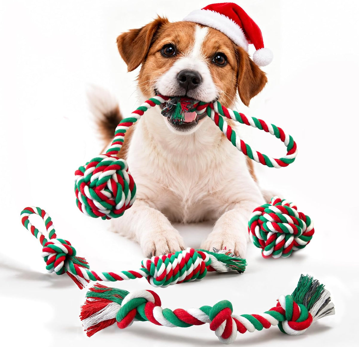 Fida Dog Rope Toys, 4 Pack Cotton Puppy Teething and Chew Toys