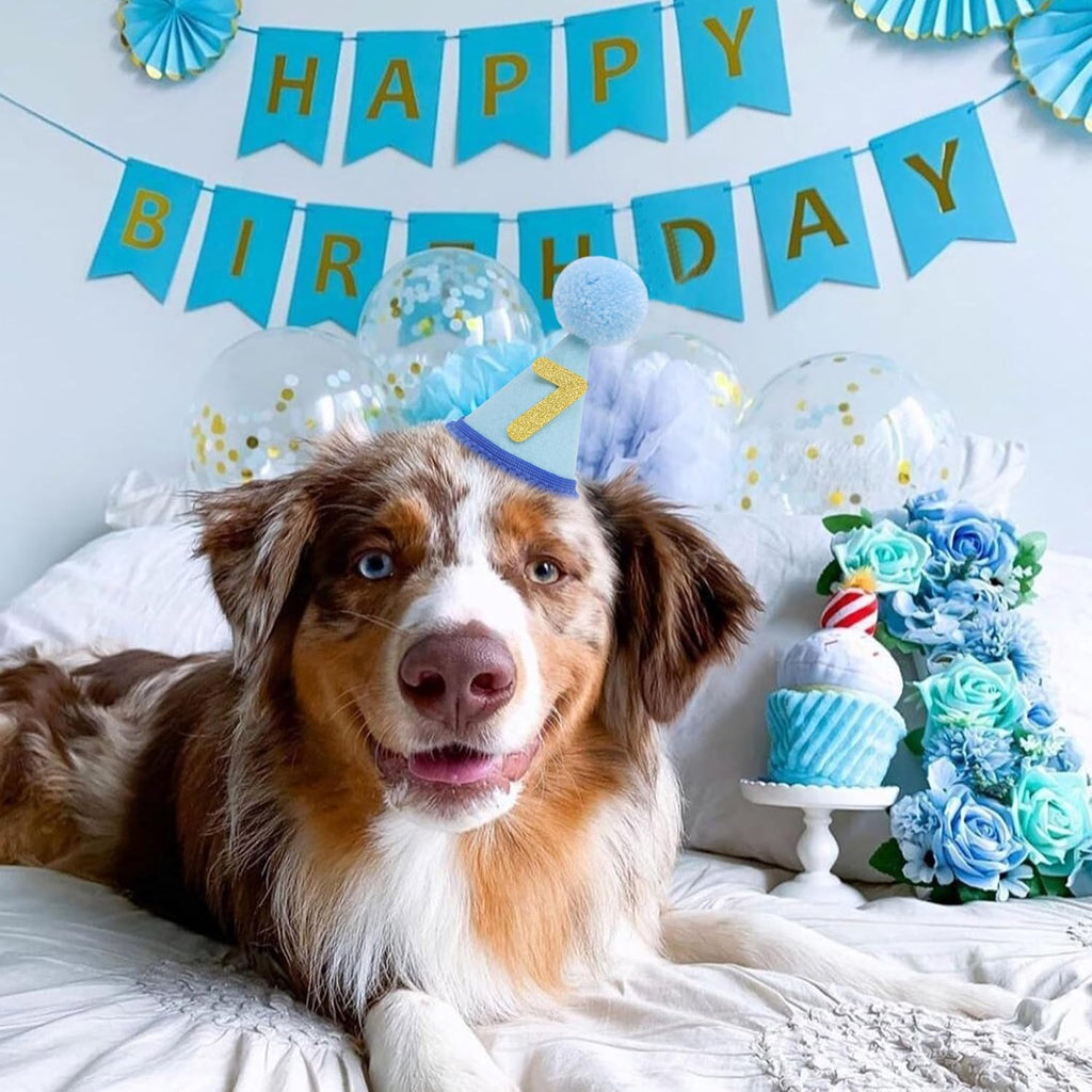 Pet Birthday Hat with Interchangeable Numbers 1-10 | Adjustable Pet Party Cone Hat for Dogs & Cats | Puppy Birthday Phot