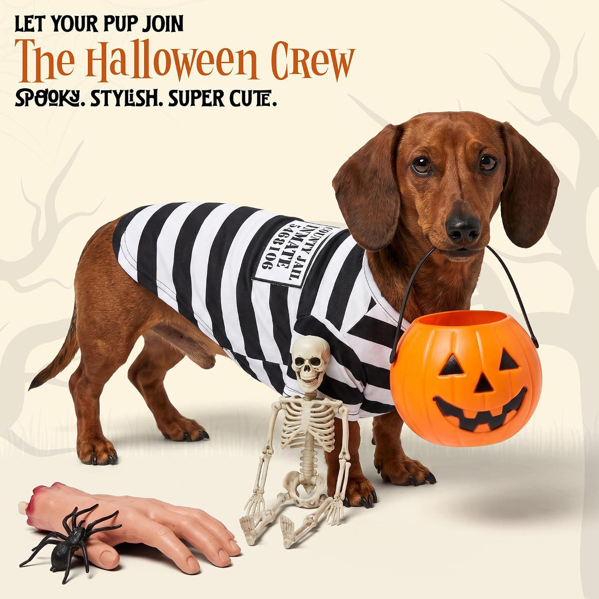 Parisian Pet Dog Halloween Costume - Prisoner Halloween Costumes for Dogs
