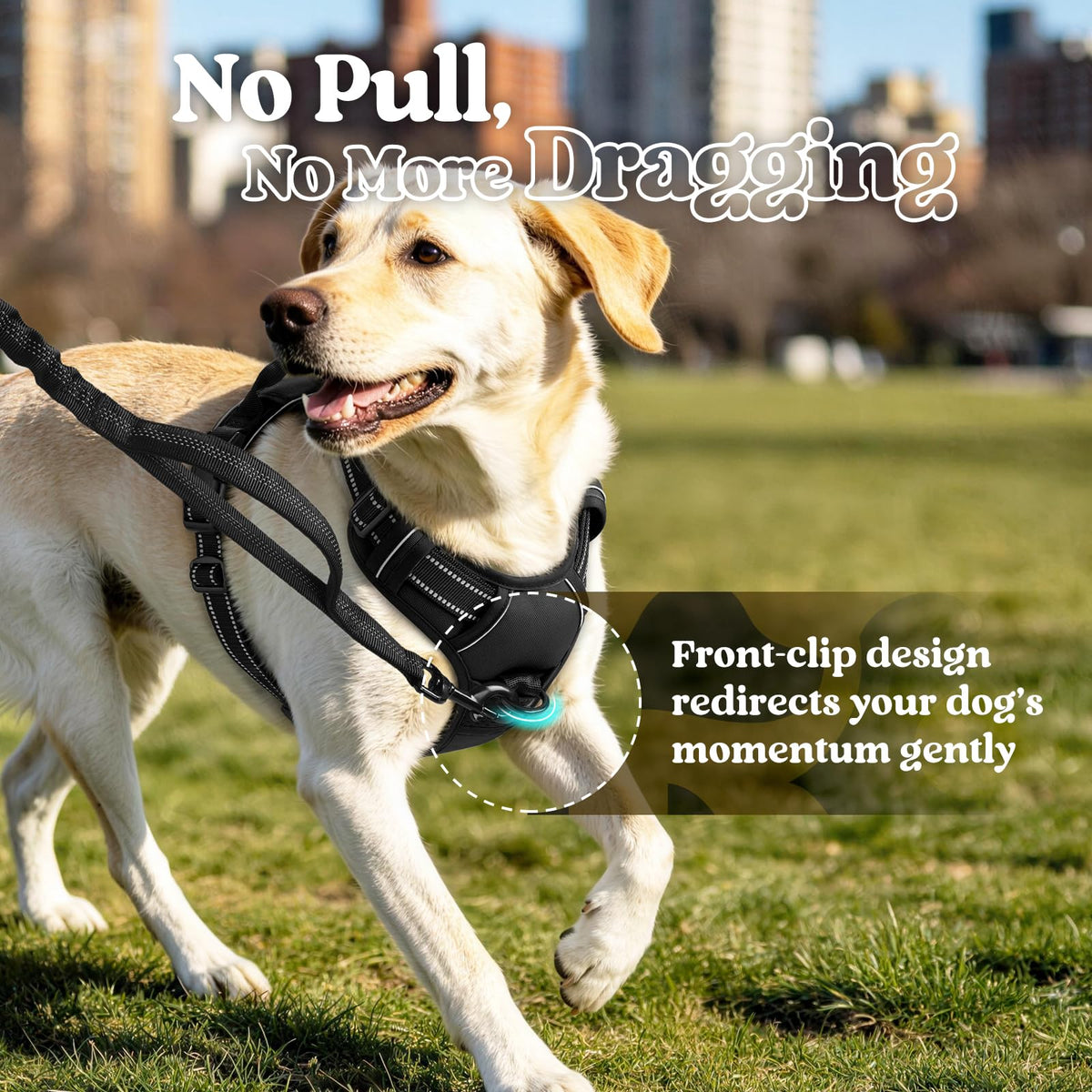 rabbitgoo Dog Harness, No Pull for Large Dogs with 2 Leash Clips, Pet Vest