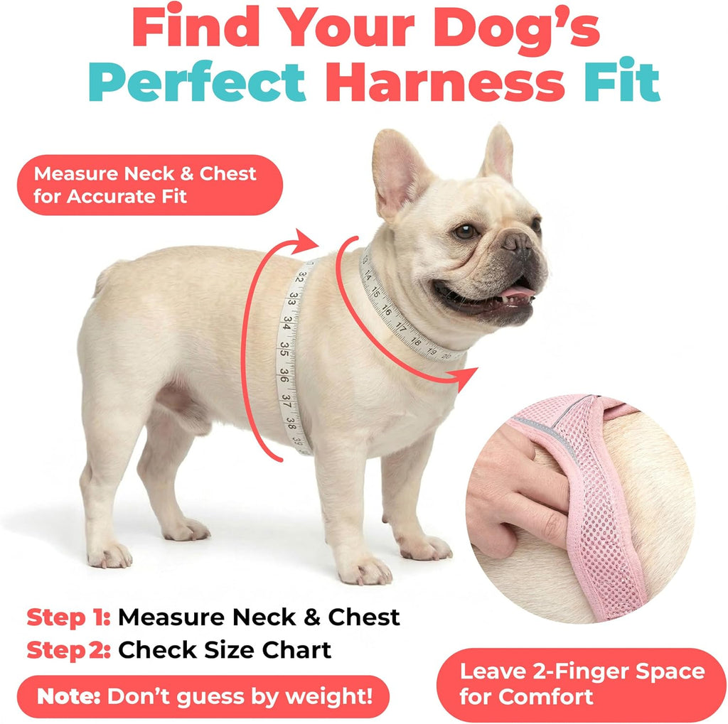 Voyager Step-in Air Dog Vest Harness - Fuchsia, Small