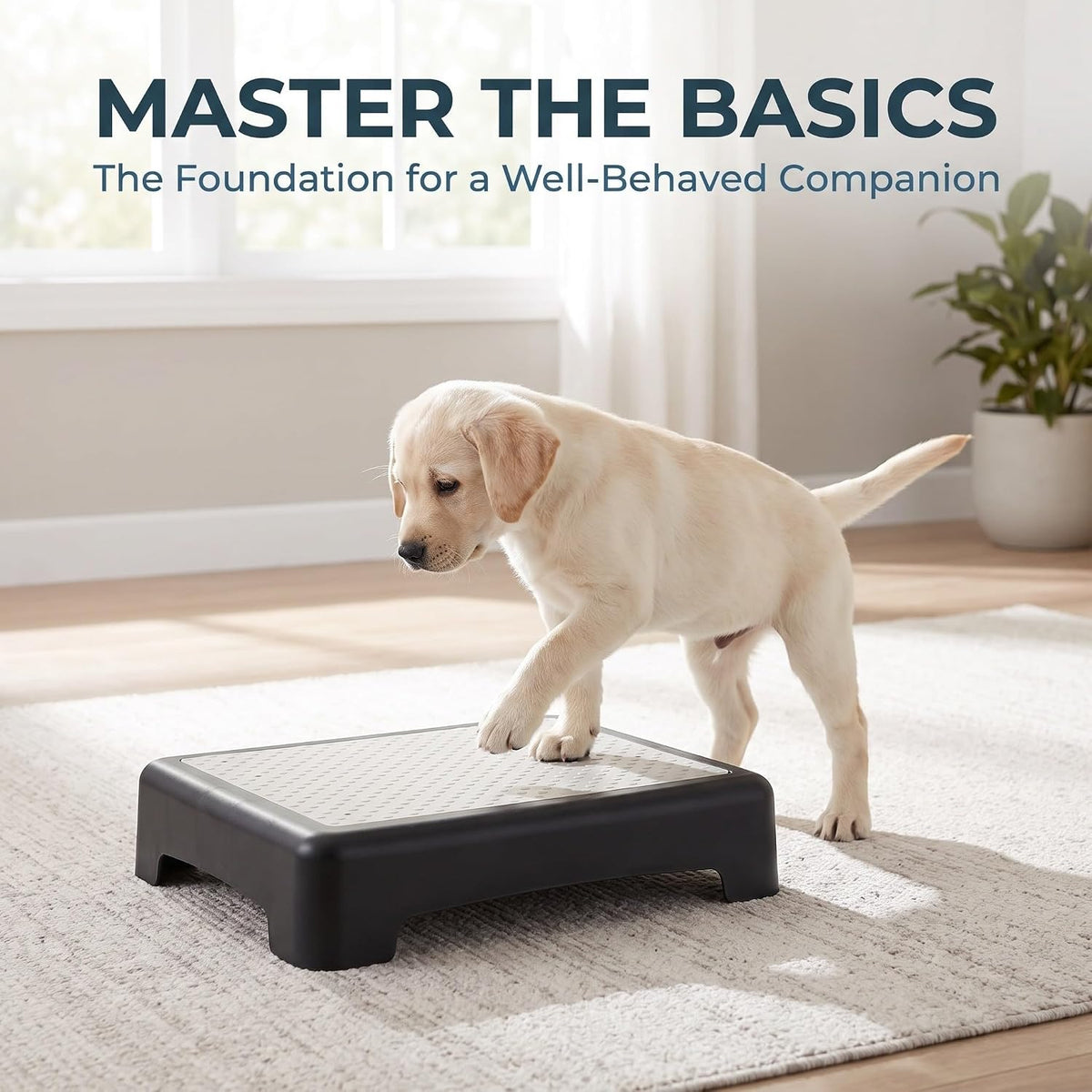 LIFKOME Dog Agility Training Equipment Platform with Non Slip Surface