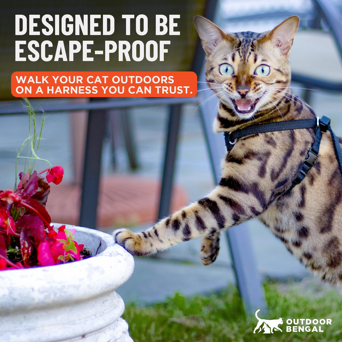OutdoorBengal Houdini™ Escape Proof Cat Harness and Leash (Black, M/L)