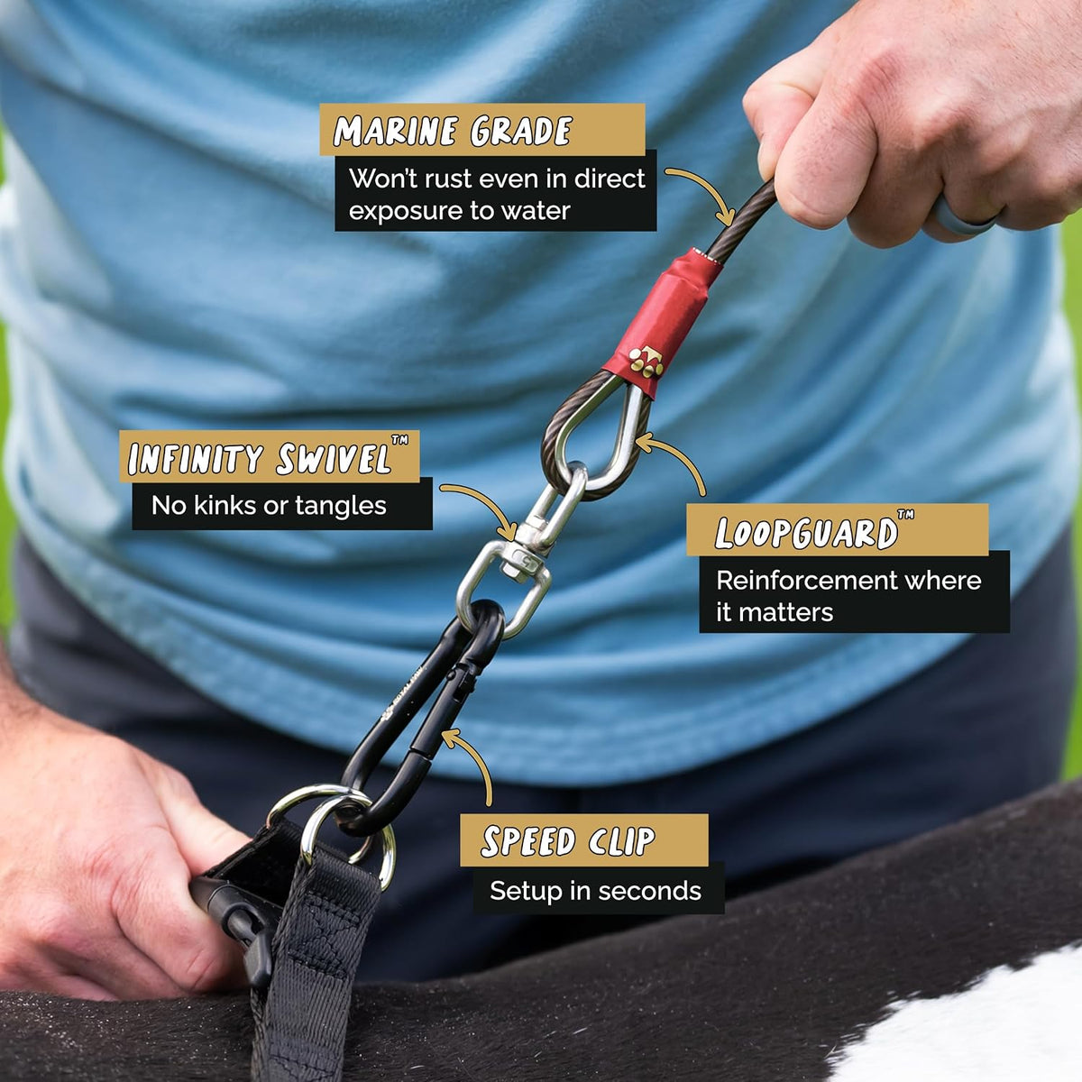 ROYAL PAW Dog Tie Out Cable and Stake 30ft - for Large Dogs up to 300 lbs - Heavy Duty Tether and Dog Stake for Yard, Be