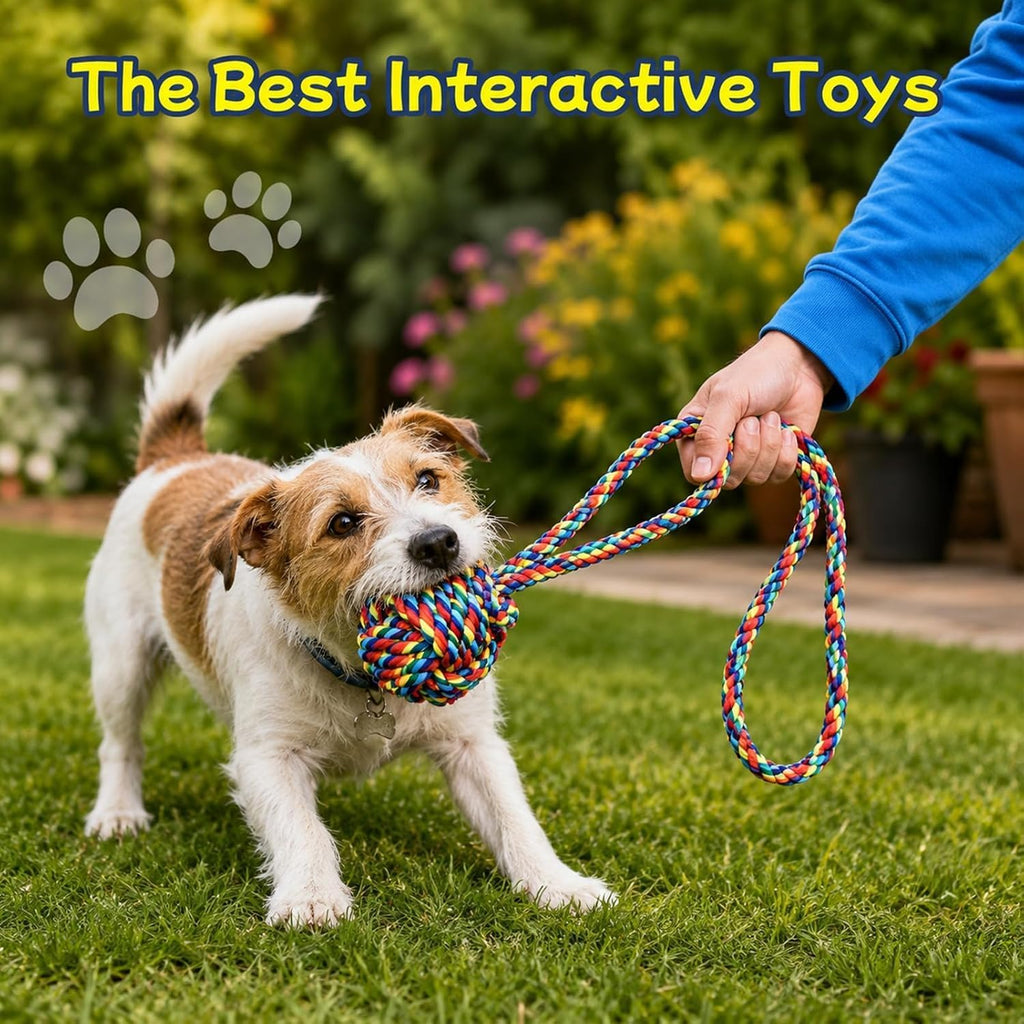 Rocfish Dog Rope Toys for Aggressive Chewers, Strong Suction Base