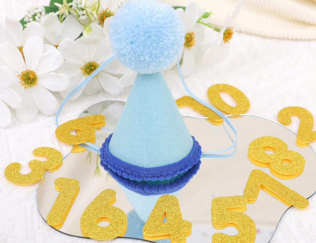 Pet Birthday Hat with Interchangeable Numbers 1-10 | Adjustable Pet Party Cone Hat for Dogs & Cats | Puppy Birthday Phot