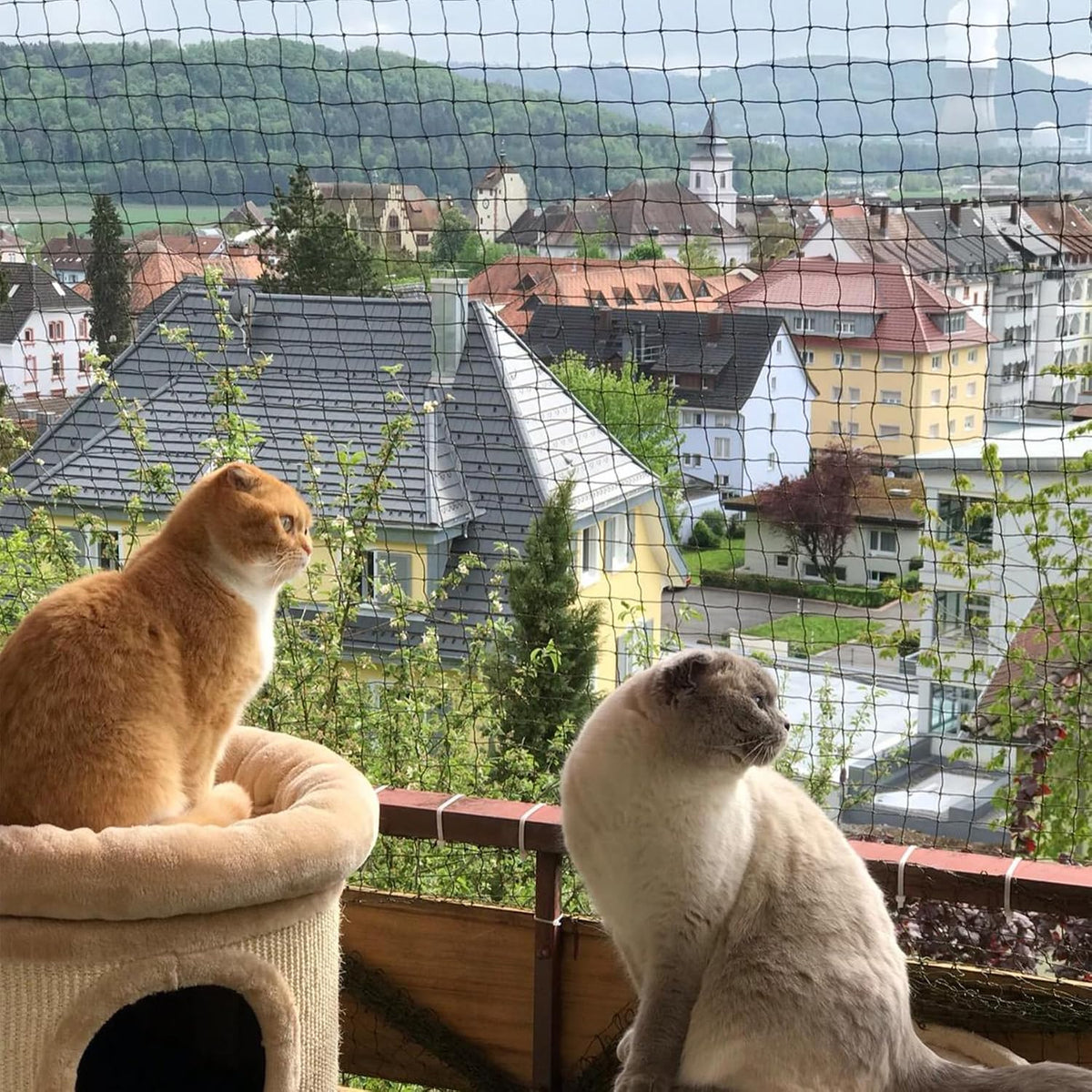 Wire-Reinforced Cat Netting, Bite Resistant, Anti-Fall for Windows Balcony