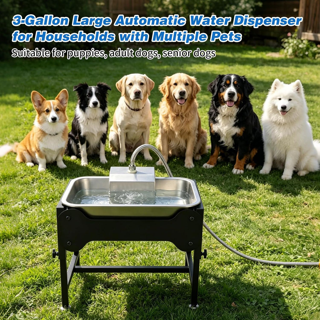 3Gal Automatic Dog Water Bowl Dispenser, Elevated Large Dog Water Bowl