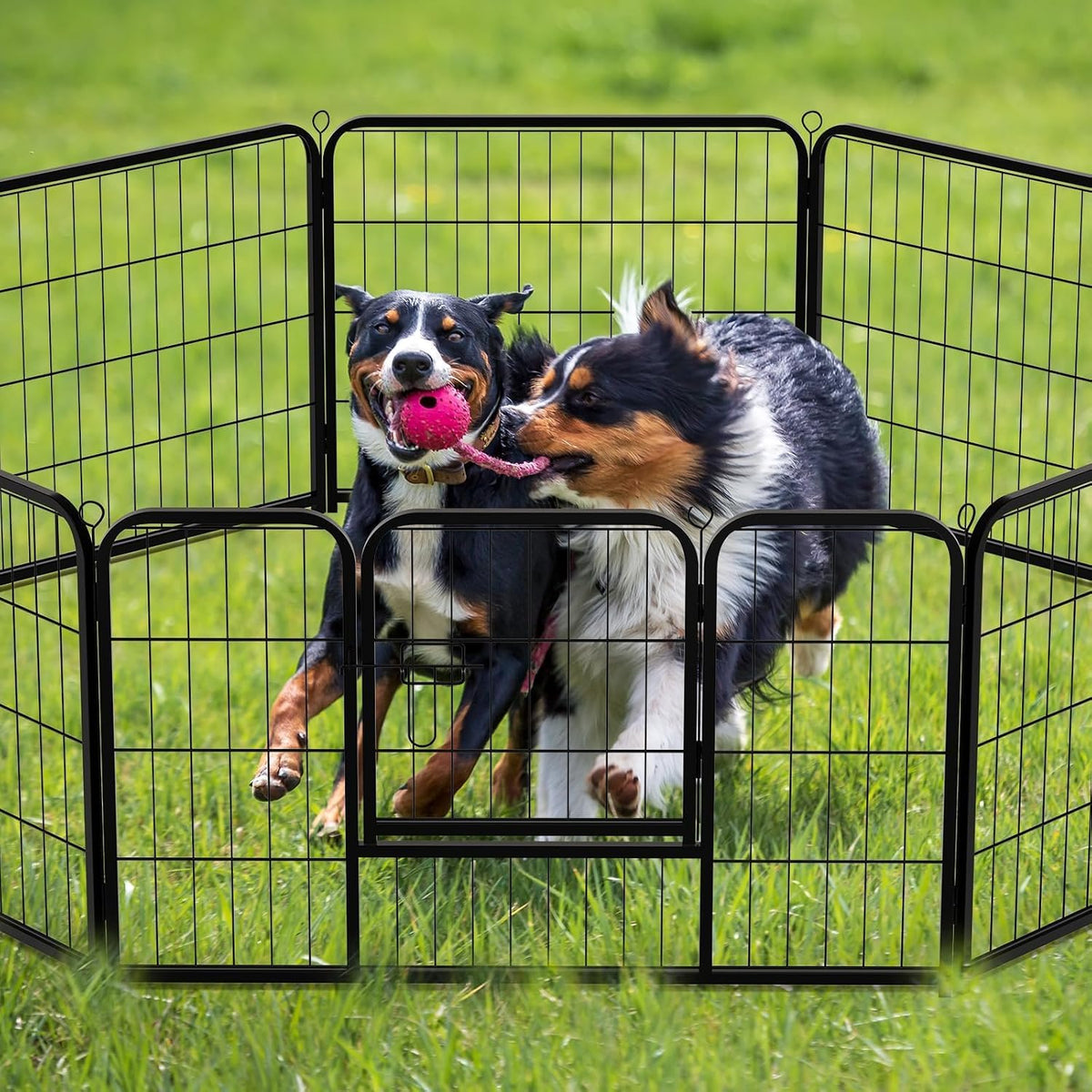 NEWBULIG Dog Playpen Indoor 8 Panels 40 Inch, Metal Outdoor Dog Fence Pen