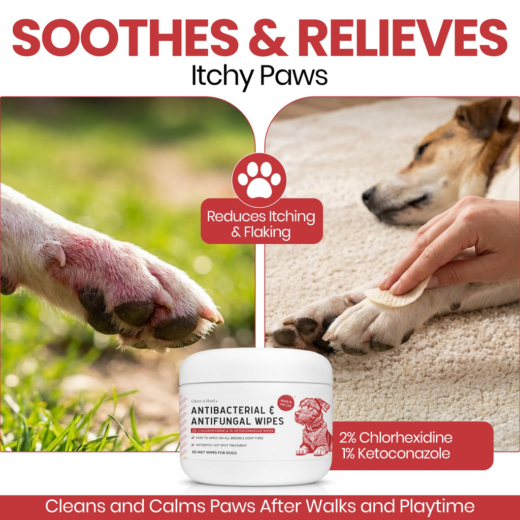 Dog Paw Wipes Antibacterial 50 Count - Antifungal Wipes for Dogs