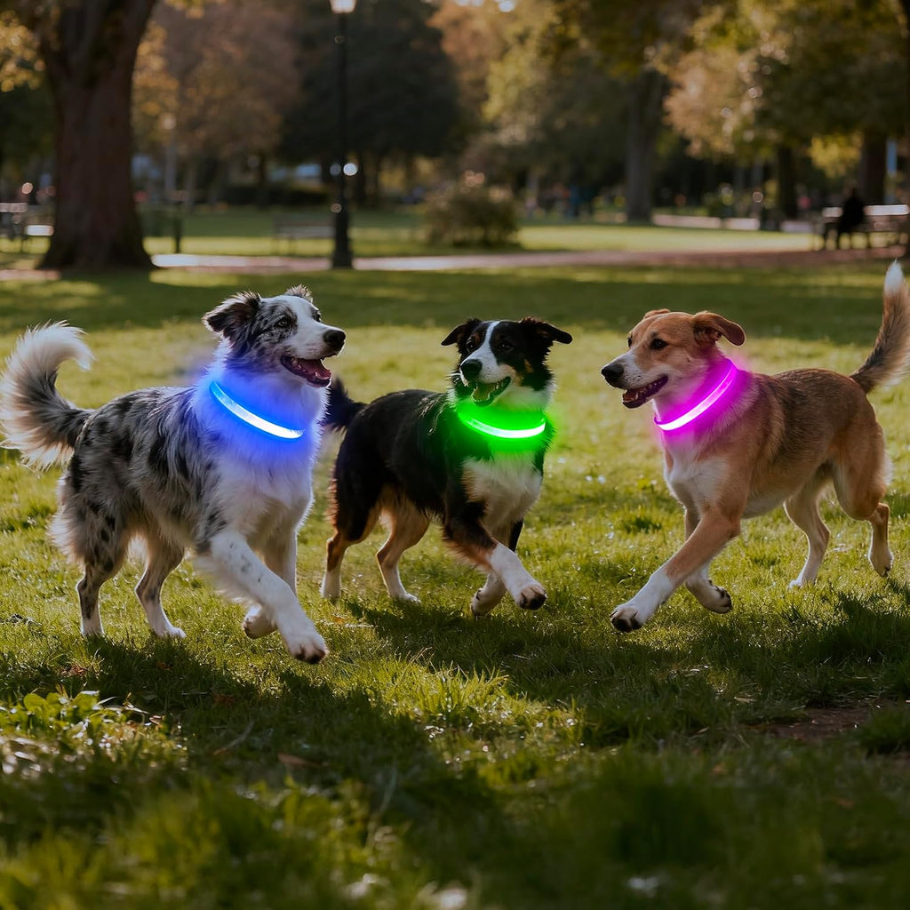 VIZPET LED Dog Collar, Light up Dog Collar Adjustable Safety Glow Collar,L