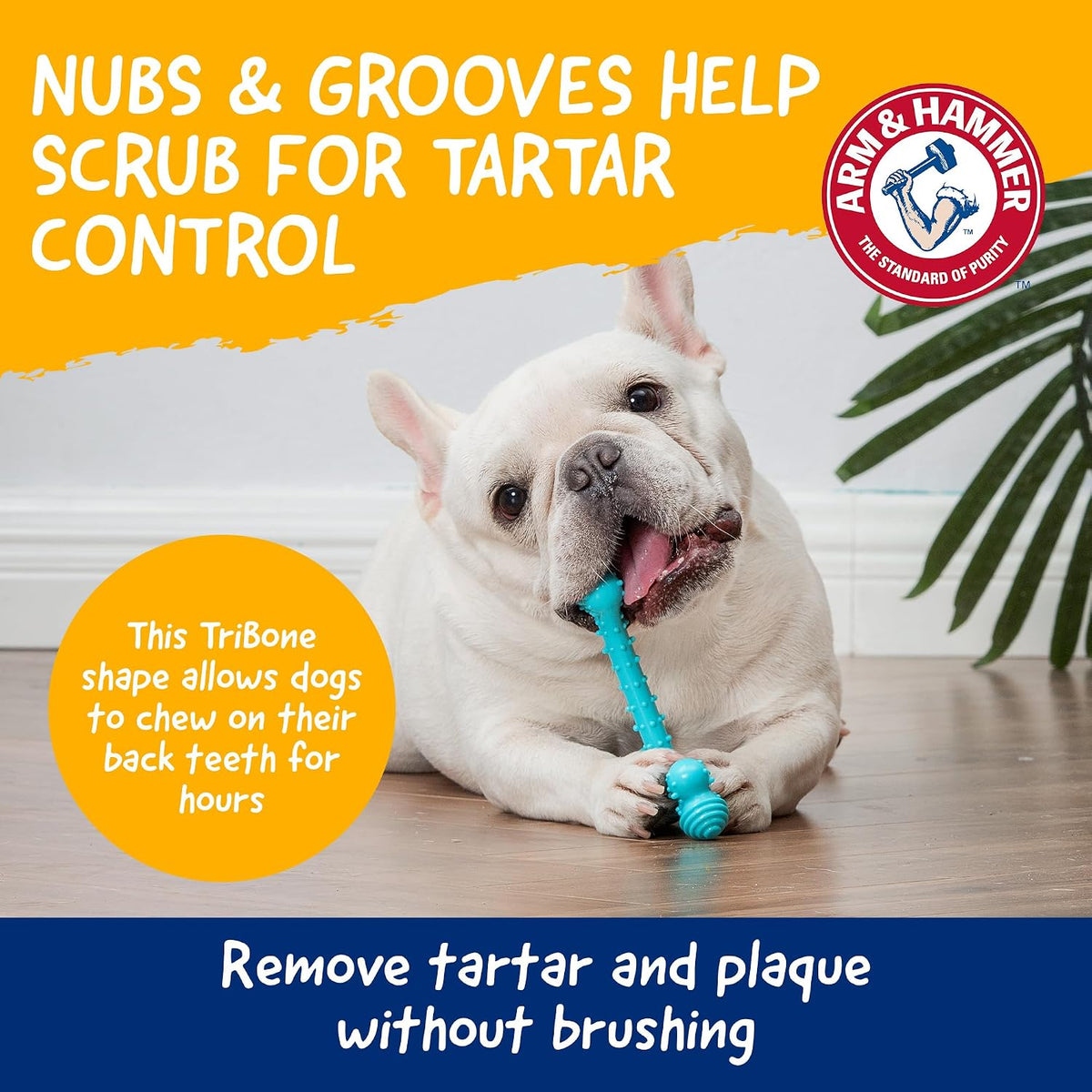 Arm & Hammer Nubbies - Dog Dental Toy, TriBone Chew, Peanut Butter Flavor