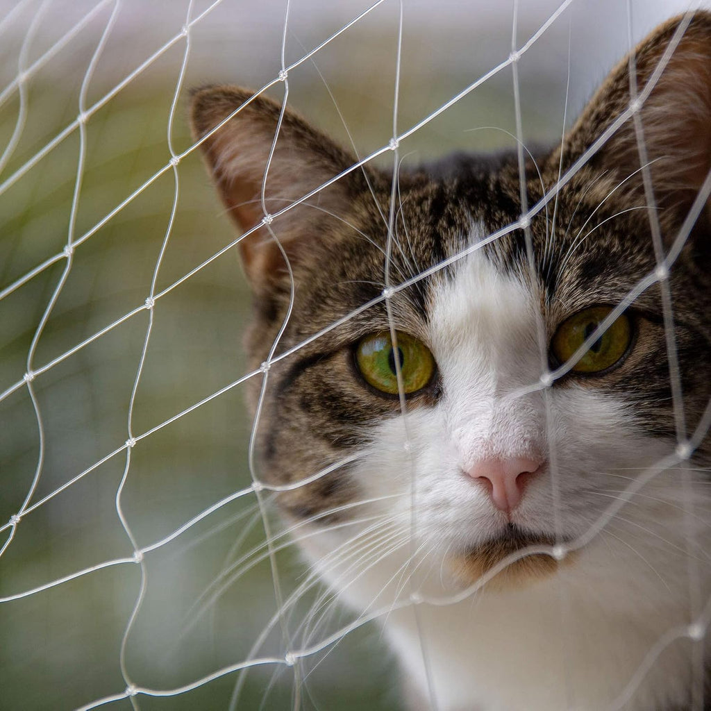 Cat Balcony Net Cat Anti-Fall Fence Net Dog Fence Nets Transparent Nylon Pet Mesh Fence Anti-Fall Netting for Balcony Wi