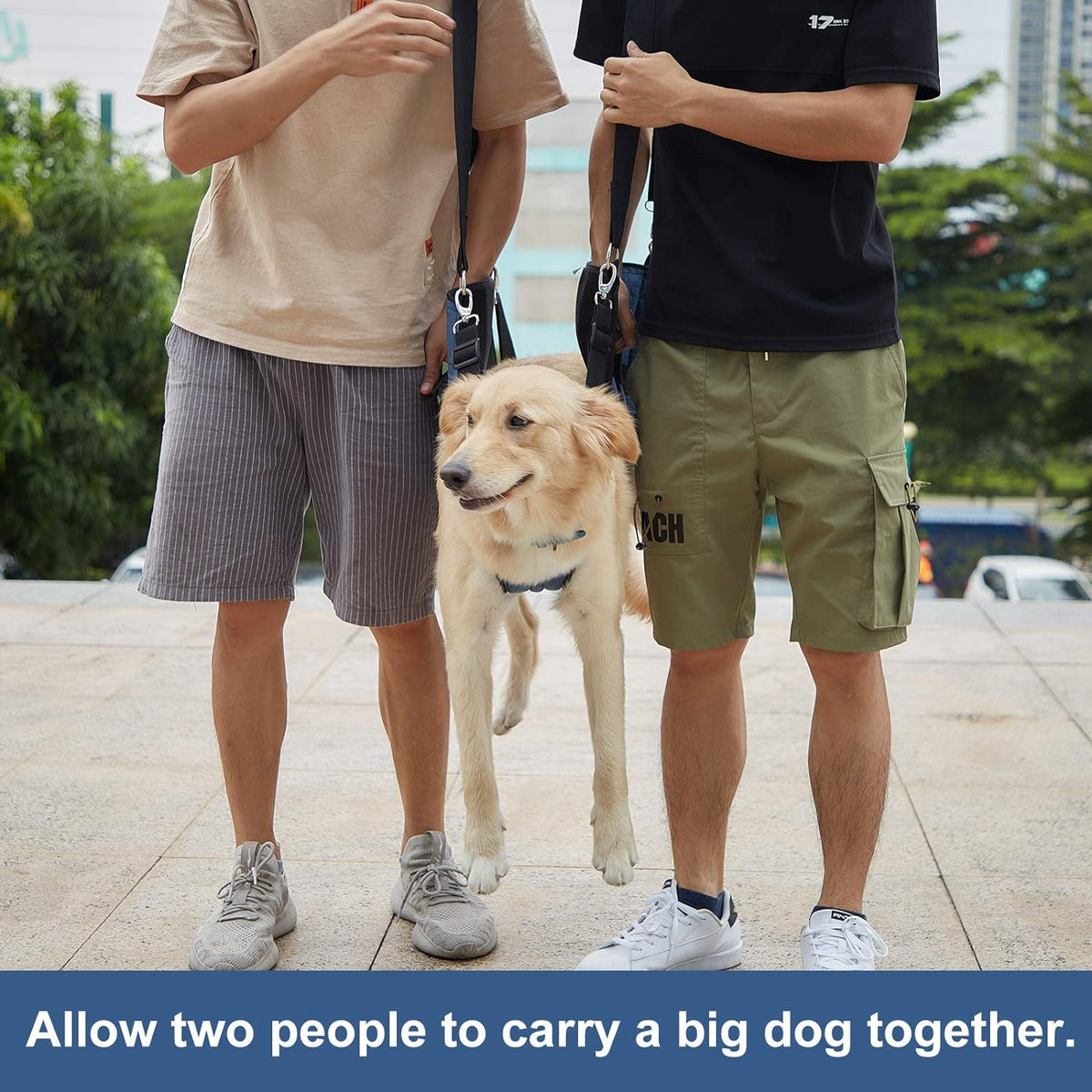 COODEO Dog Carry Sling, Emergency Backpack Pet Legs Support & Rehabilitation Dog Lift Harness for Nail Trimming, Dog Car