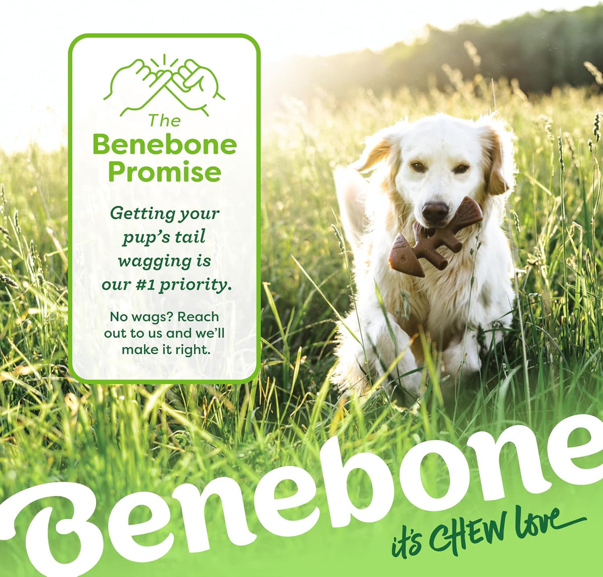 Benebone Fishbone Durable Dog Chew Toy for Aggressive Chewers, Medium