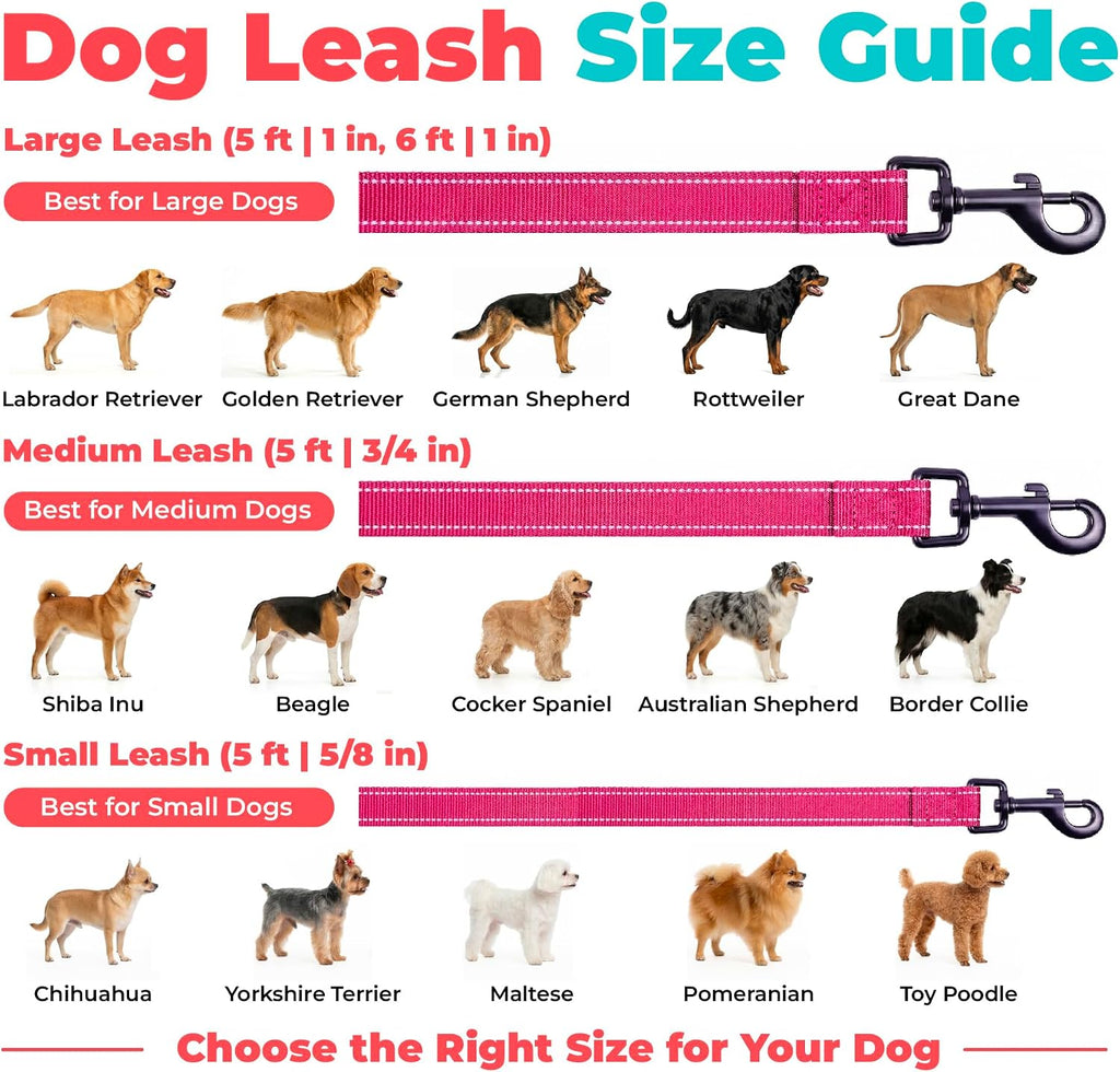 Best Pet Supplies Voyager Nylon Dog Leash - Fuchsia, Small