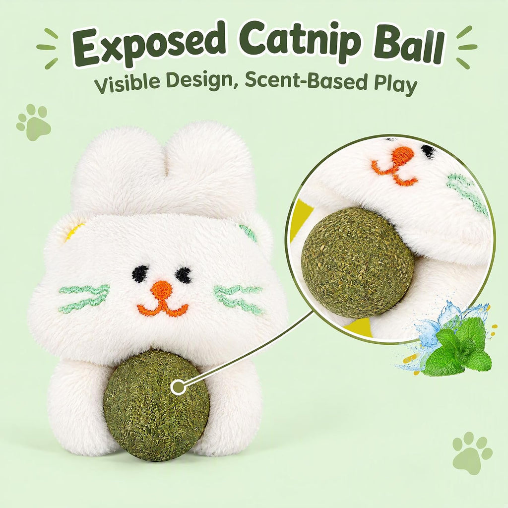 2PCS Catnip Plush Cat Toy, Cute Kitten, Cat Toys for Kittens & Indoor Cats