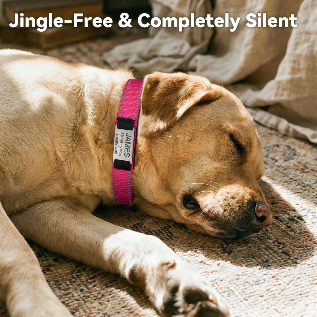 Joytale Personalized Dog Collar with Name Plate Built-in for Large Dogs