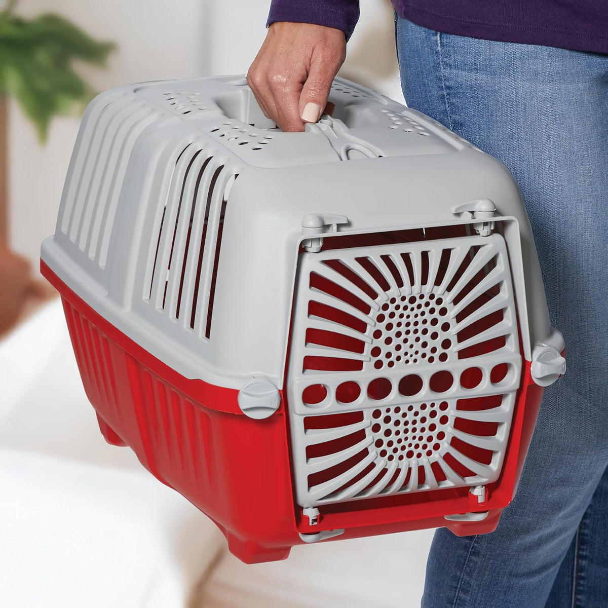 Spree by Midwest 19-Inch Travel Carrier, Red, Fits Pets up to 10 lbs